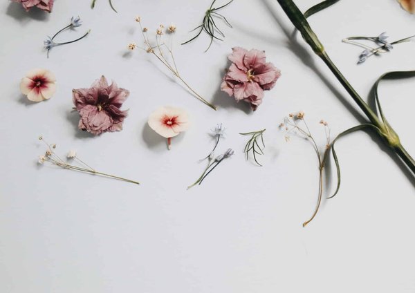Quels sont les exemples d'art minimaliste les plus marquants ?