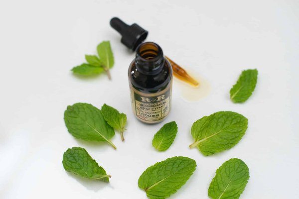 Les bienfaits des plantes médicinales pour votre santé