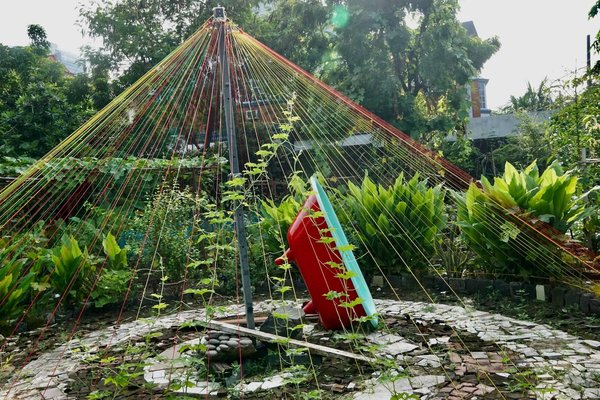 Comment débuter en permaculture ? Les étapes à suivre pour une cultivation durable et écologique