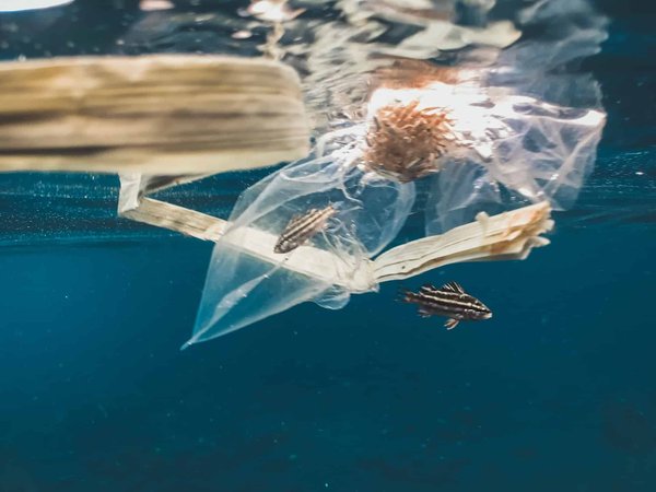 Comment réduire la pollution plastique des océans ? Des solutions pour sauver nos mers